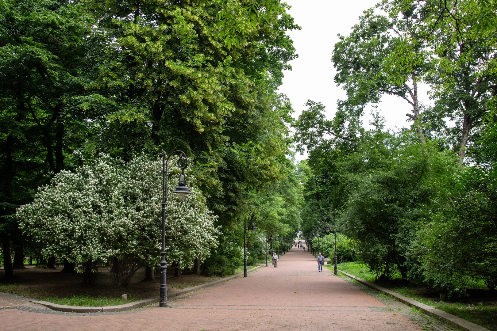 Парк Івана Франка