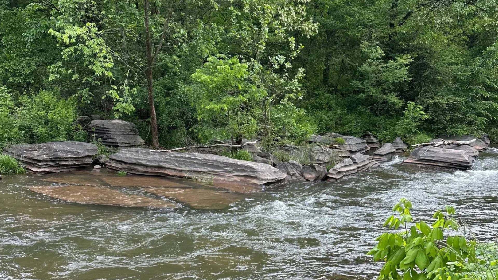 Після переїзду до нового будинку на пару чекало справжнє розчарування Після переїзду до нового будинку на пару чекало справжнє розчарування