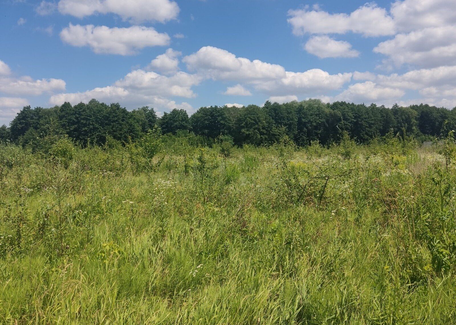 Какая сумма налога на землю Какая сумма налога на землю