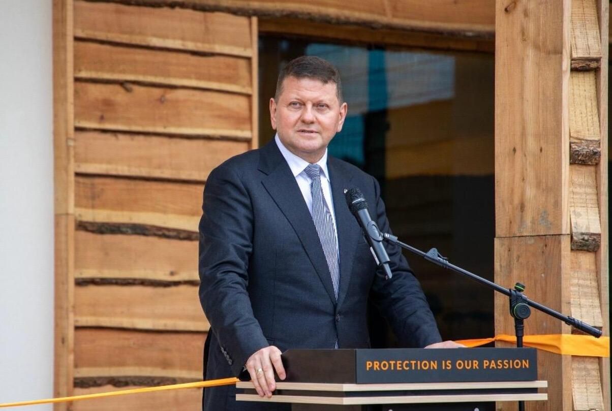 Залужный высказался о контрнаступлении ВСУ в 2023 году