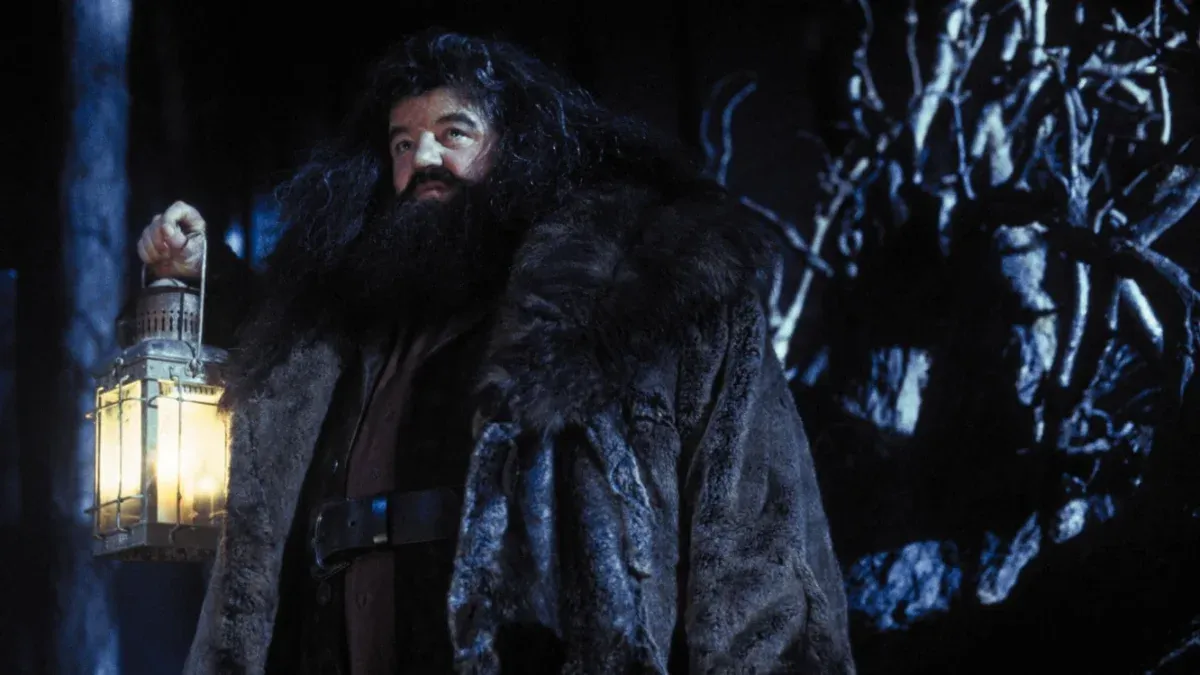 Рубеус Хегрид Рубеус Хегрид