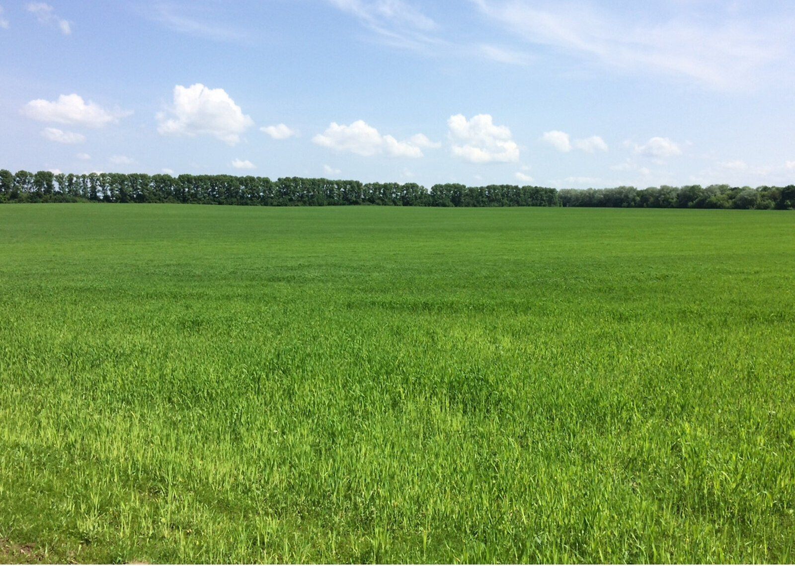 Скільки землі дадуть УБД Скільки землі дадуть УБД