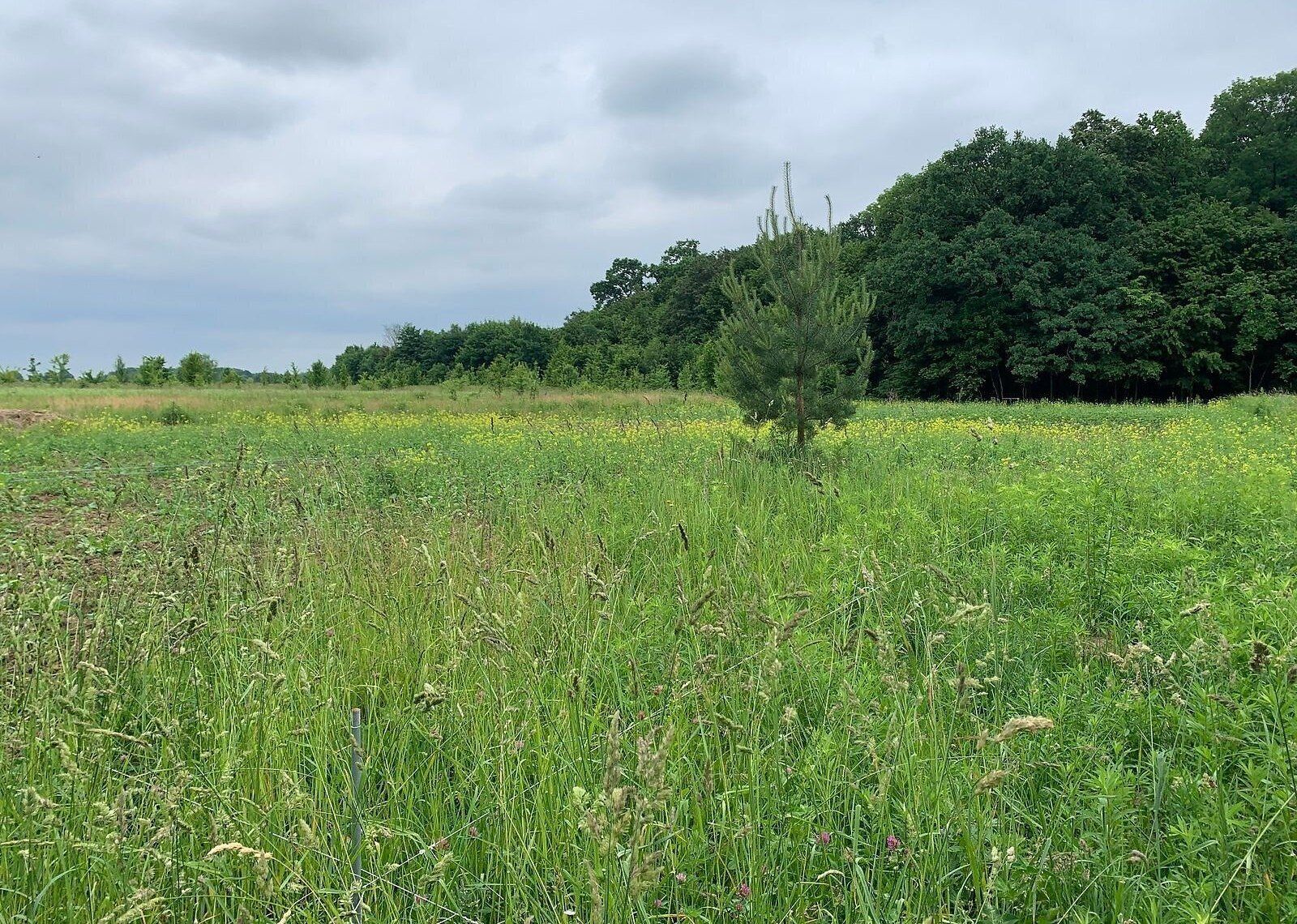 Расторжение договора аренды