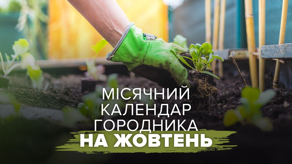 Посівний календар на жовтень 2025