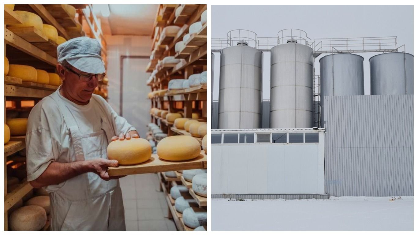 На месте обанкротившегося Гадячсира заработает новый завод по производству сыров для Европы - Бизнес На месте обанкротившегося Гадячсира заработает новый завод по производству сыров для Европы - Бизнес