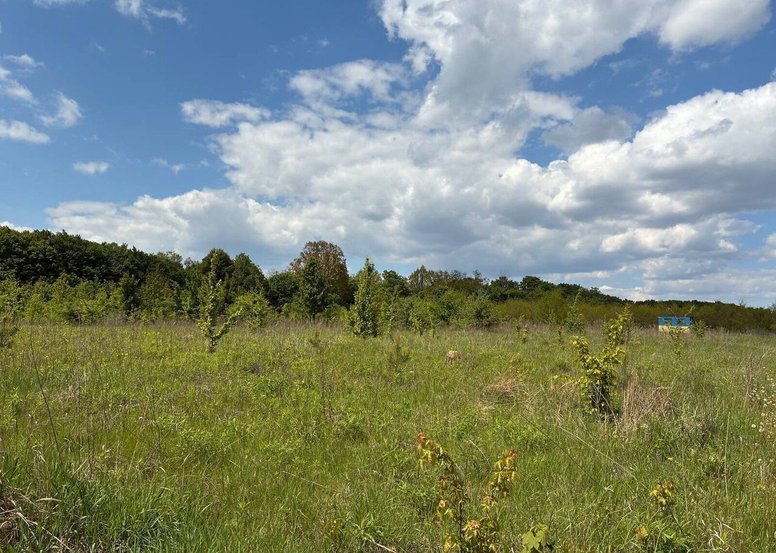 Скільки коштує земля Скільки коштує земля