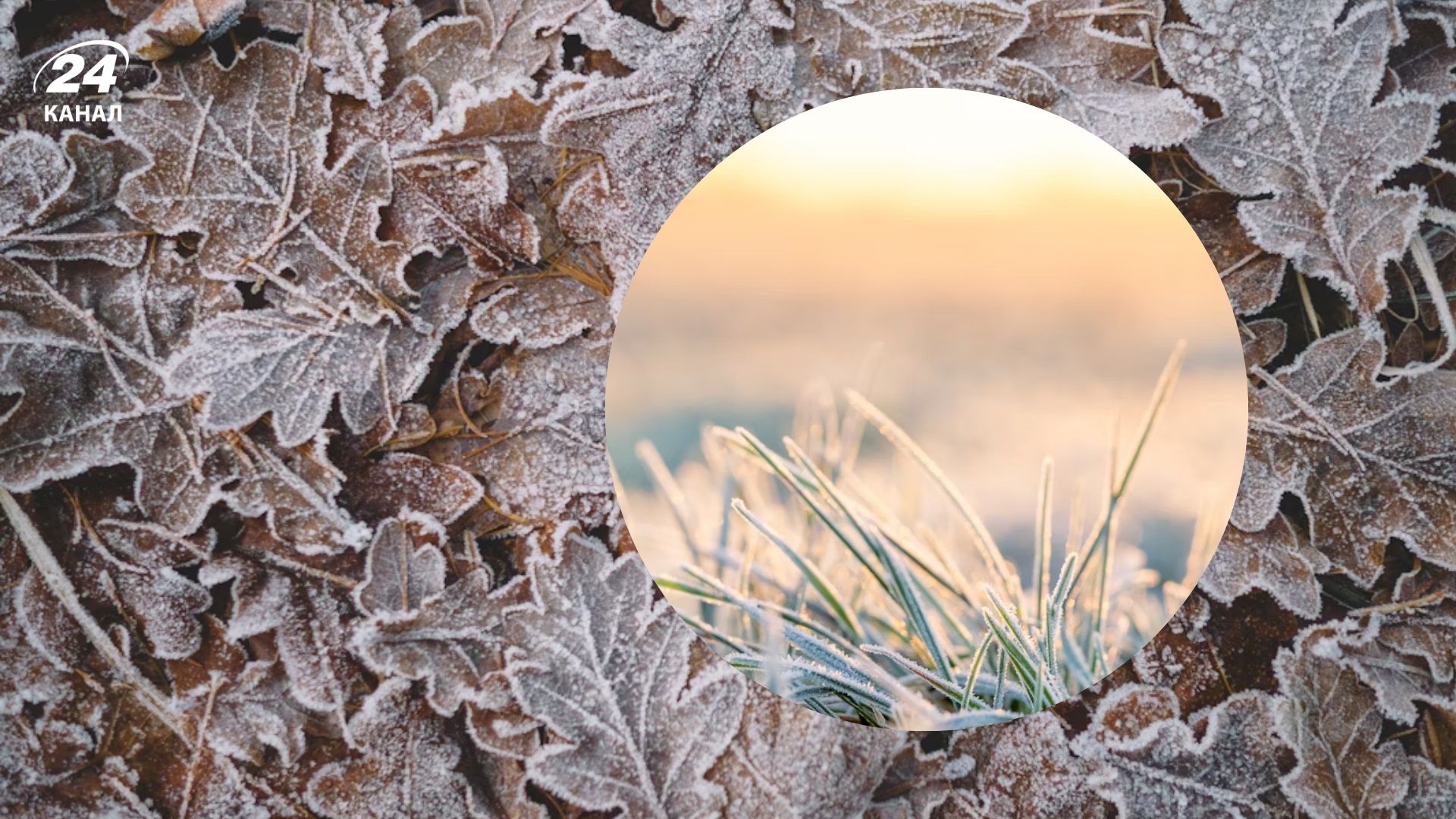 Заморозки уже на порозі: коли та у яких областях України різко похолодає - 24 Канал Заморозки уже на порозі: коли та у яких областях України різко похолодає - 24 Канал
