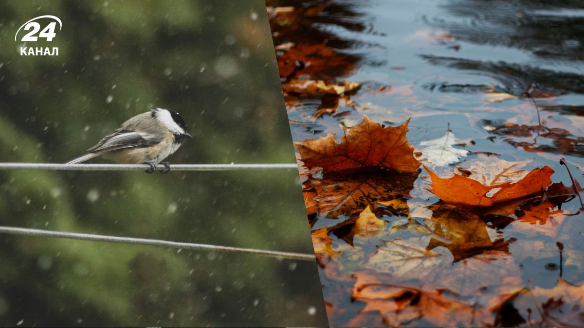 Погода на неделю