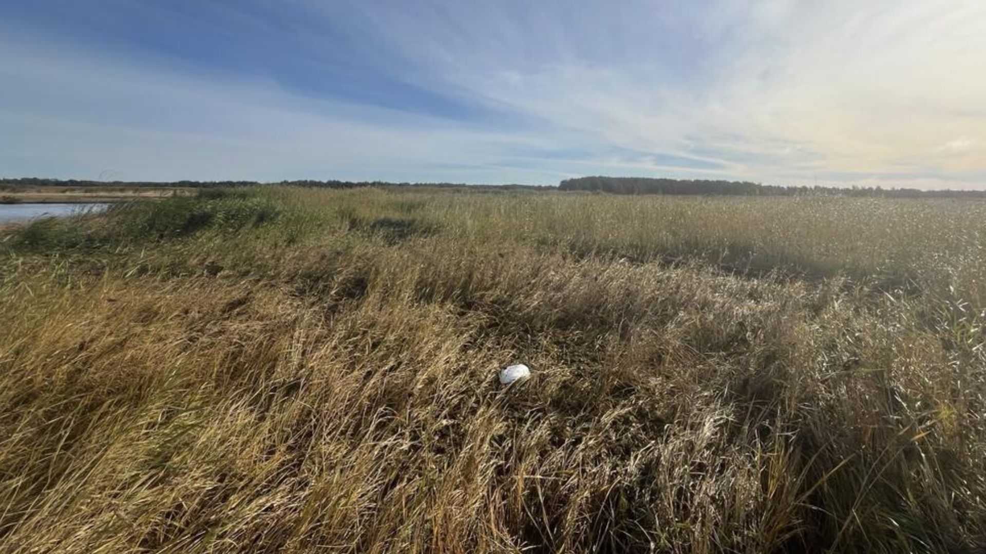 На побережье Эстонии обнаружили обломок дрона На побережье Эстонии обнаружили обломок дрона