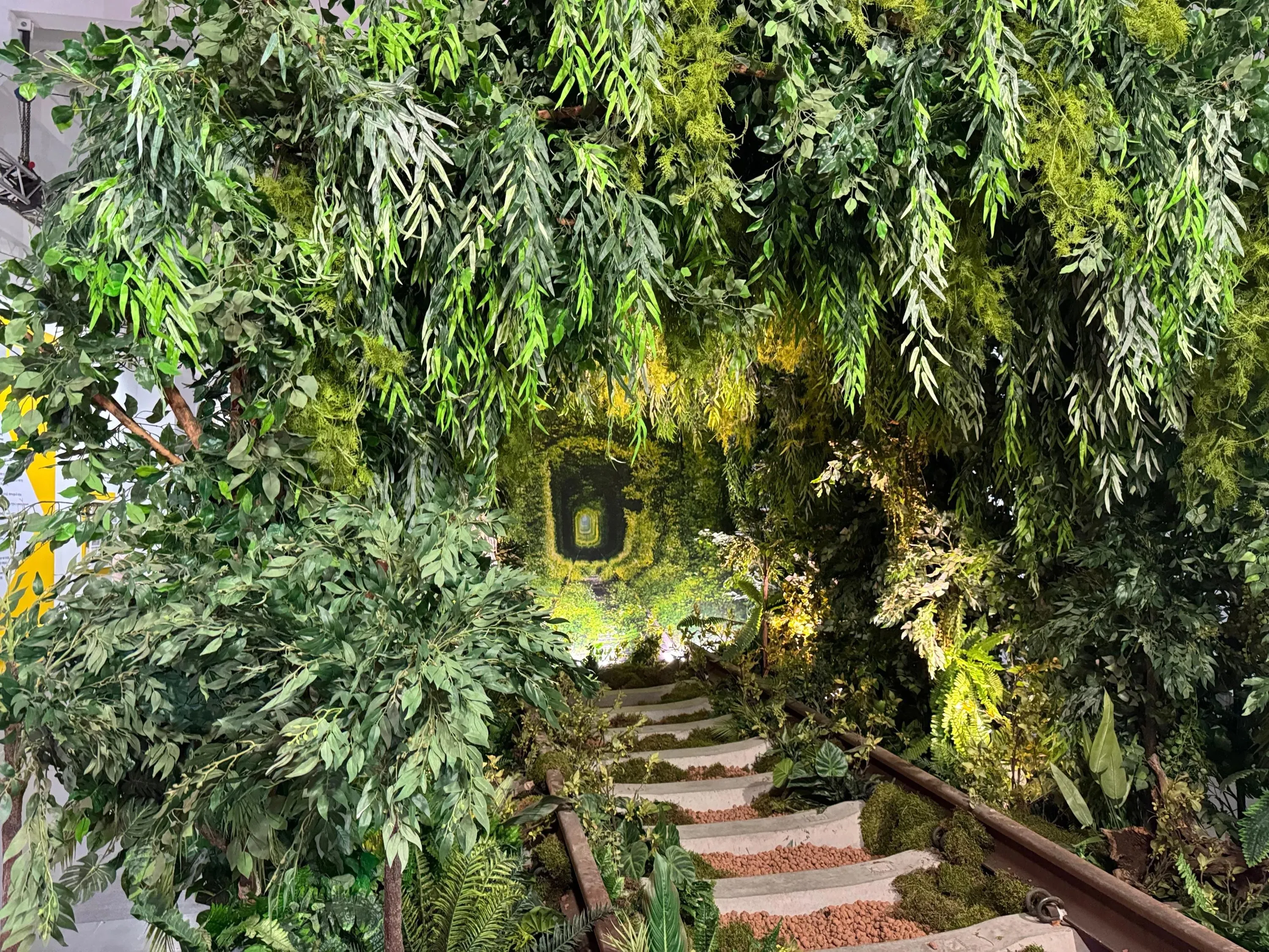 Тунель кохання Ukraine WOW Тунель кохання Ukraine WOW