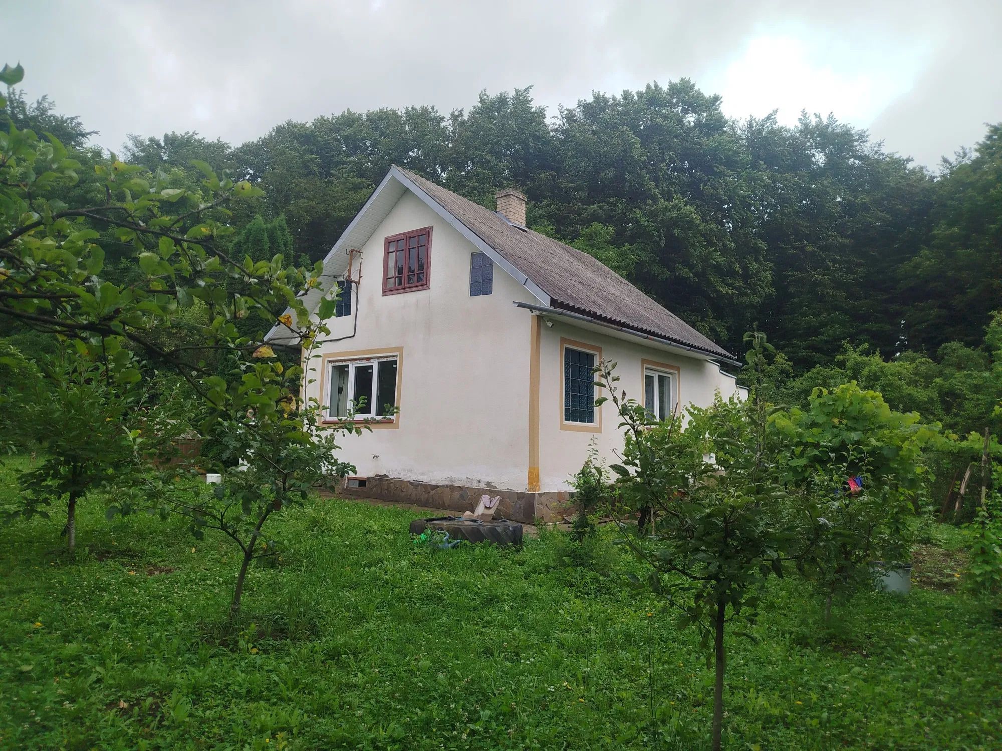 Скільки коштує придбати будинок в Карпатах - локації та ціни - Нерухомість