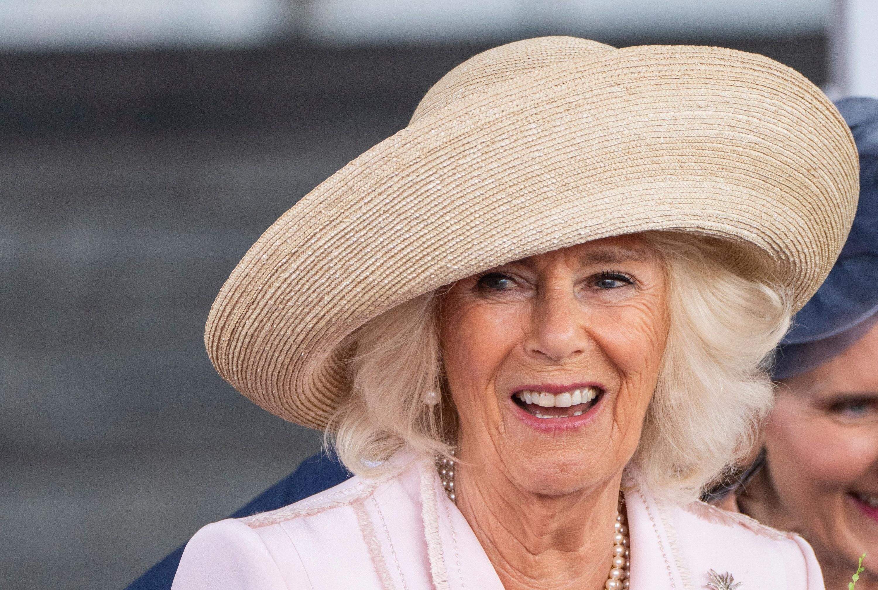 камила - Тренды камила - Тренды