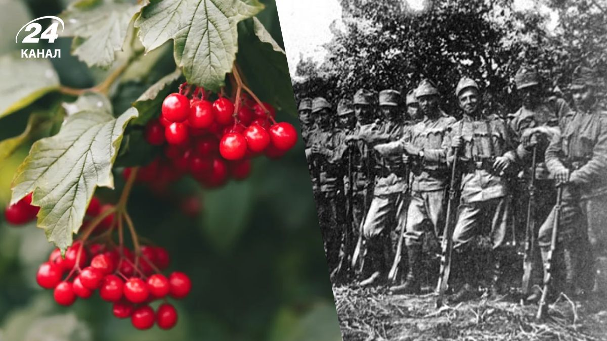 История песни "Ой в лугу красная калина" История песни "Ой в лугу красная калина"