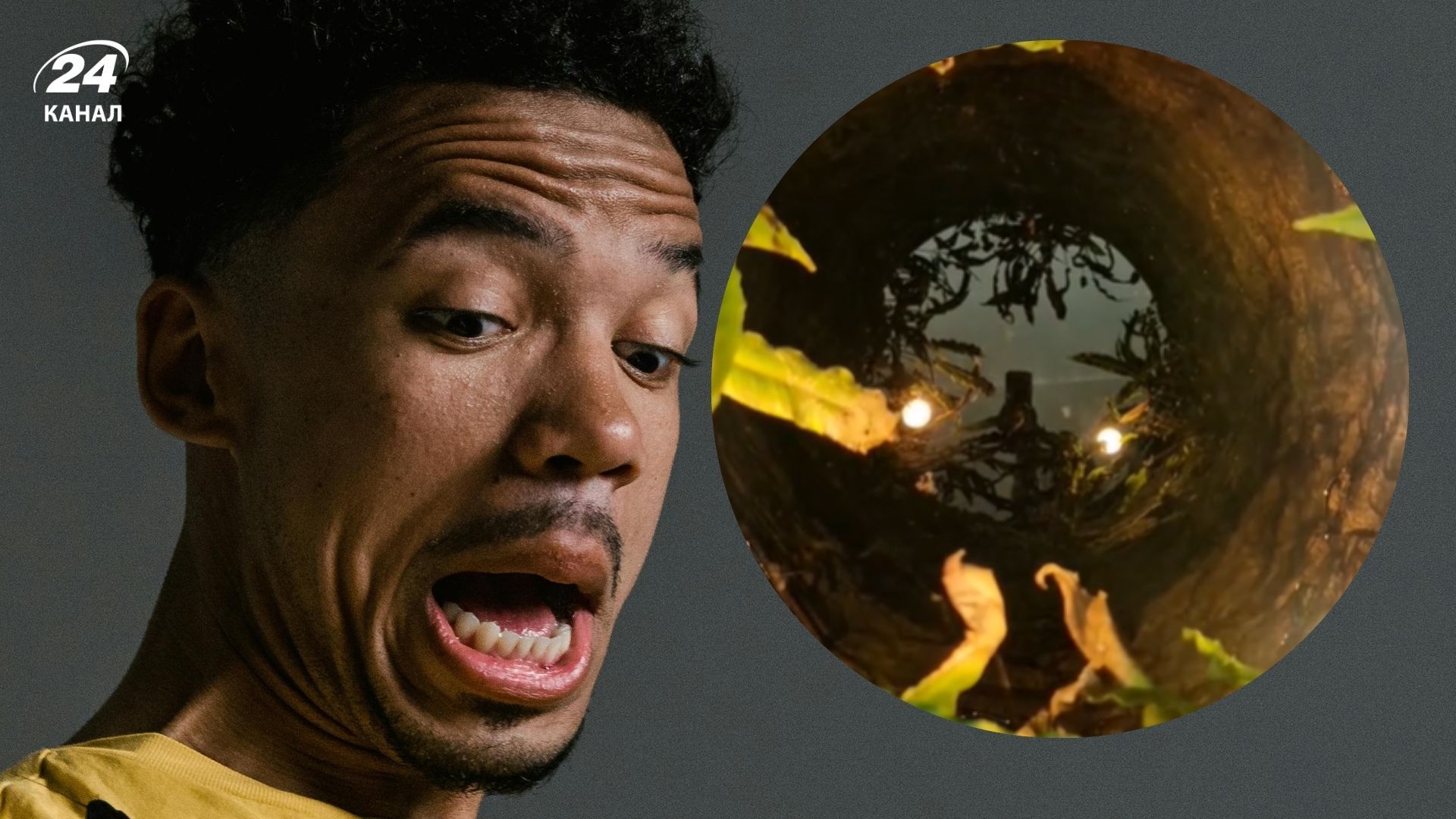 Видео с колодцем в гостиной вызвало у зрителей смешанные эмоции Видео с колодцем в гостиной вызвало у зрителей смешанные эмоции