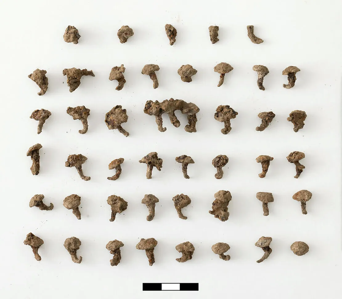 Цвяхи для взуття, знайдені в могилі Цвяхи для взуття, знайдені в могилі