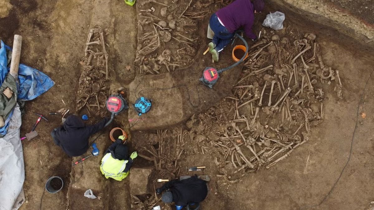 Массовое захоронение римских солдат в Вене может изменить представление об истории города Массовое захоронение римских солдат в Вене может изменить представление об истории города