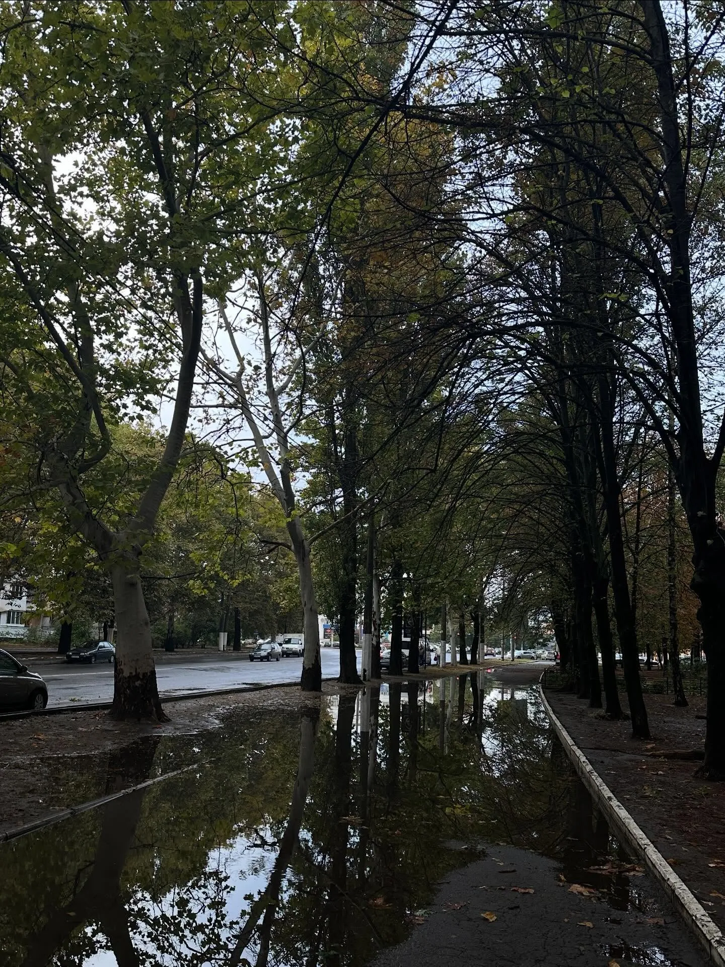 Одесса после непогоды