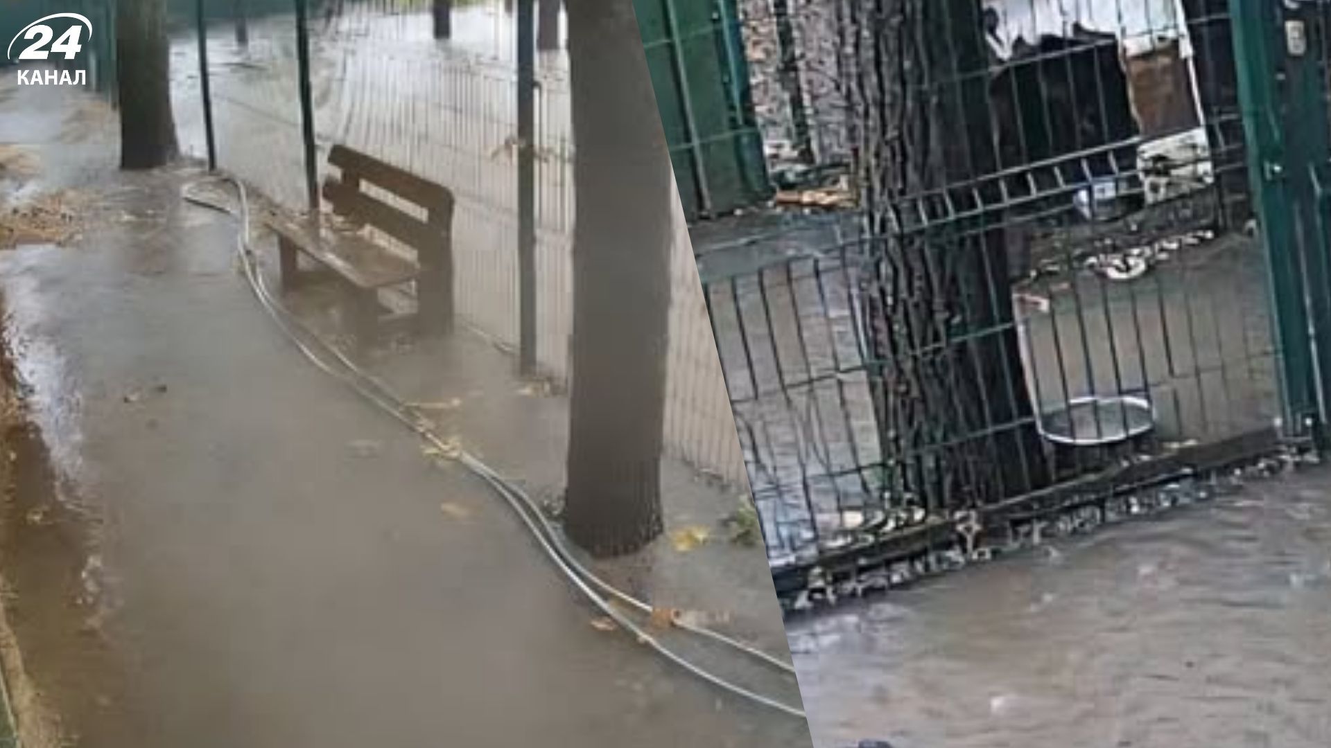 В Одесі затопило Центр адопції собак: чи вдалось врятувати тварин - 24 Канал