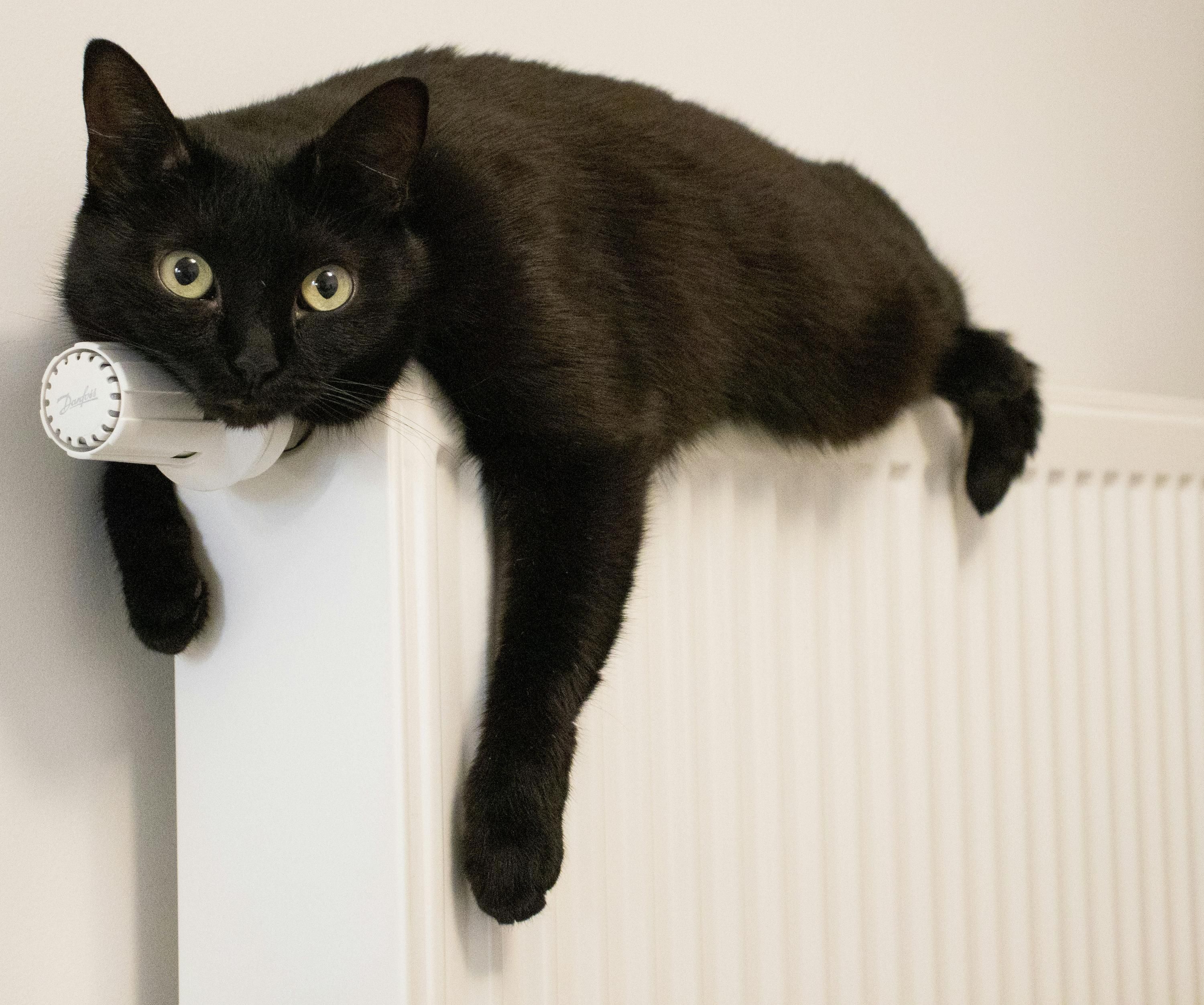 Підготовка до опалювального сезону - як прибрати повітря з системи опалення