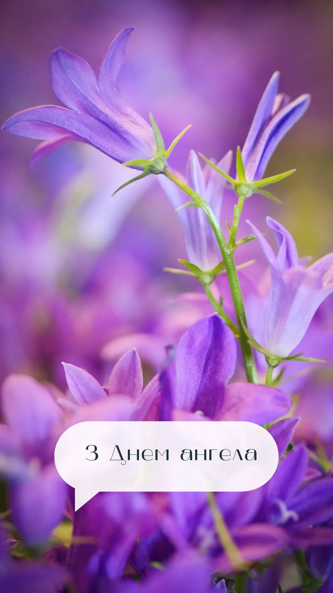 Поздравления с Днем ангела