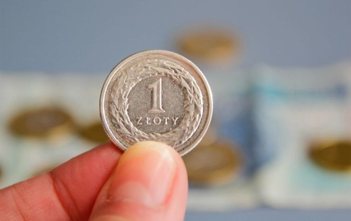 Злотый подорожал после падения: сколько стоит валюта в банках и обменниках Злотый подорожал после падения: сколько стоит валюта в банках и обменниках