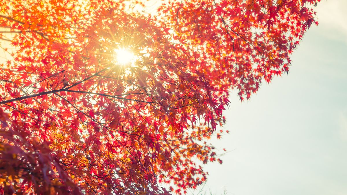 Магнітні бурі у жовтні 2025 - календар Магнітні бурі у жовтні 2025 - календар