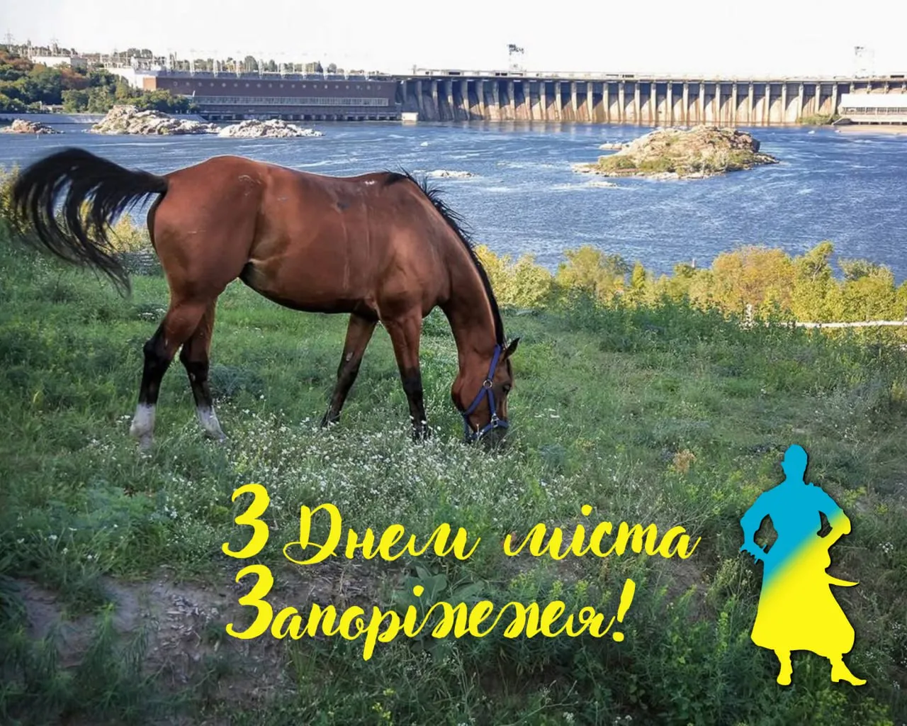 Поздравления с Днем города Запорожье 2025