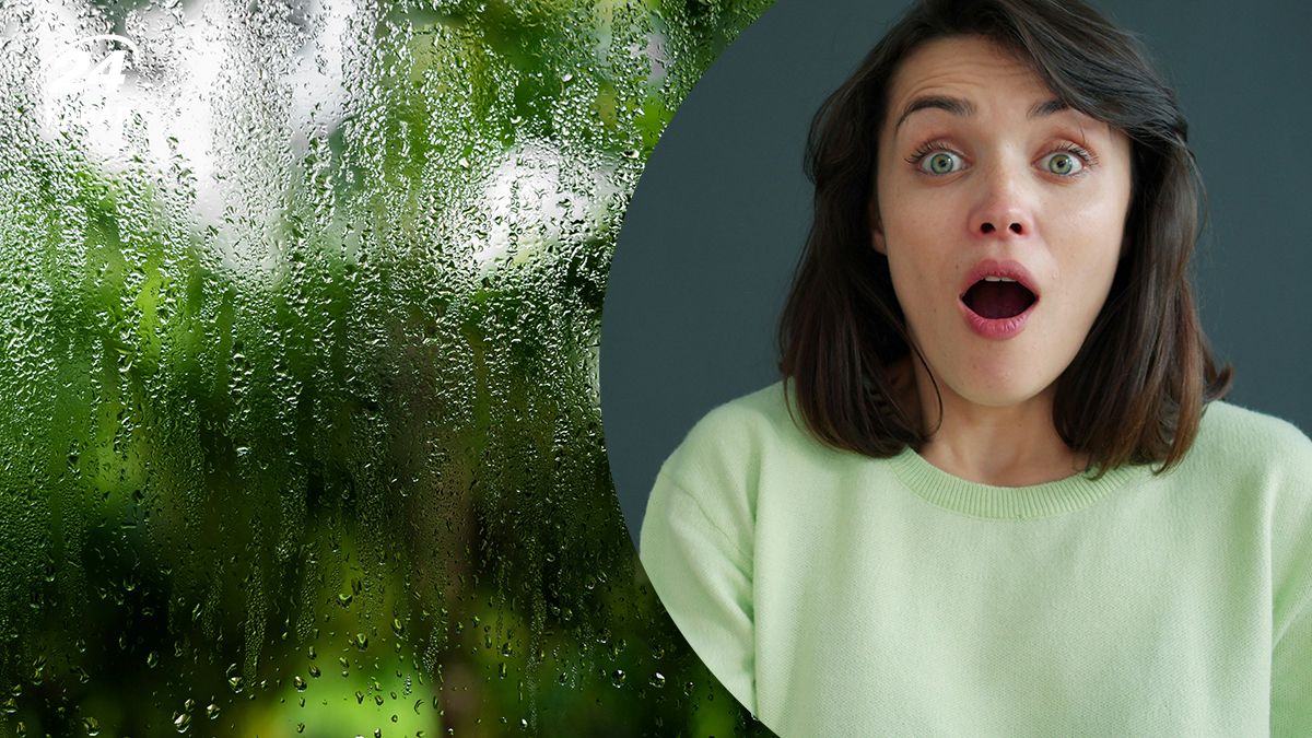 Конденсат на окнах - почему он возникает и как от него избавиться Конденсат на окнах - почему он возникает и как от него избавиться