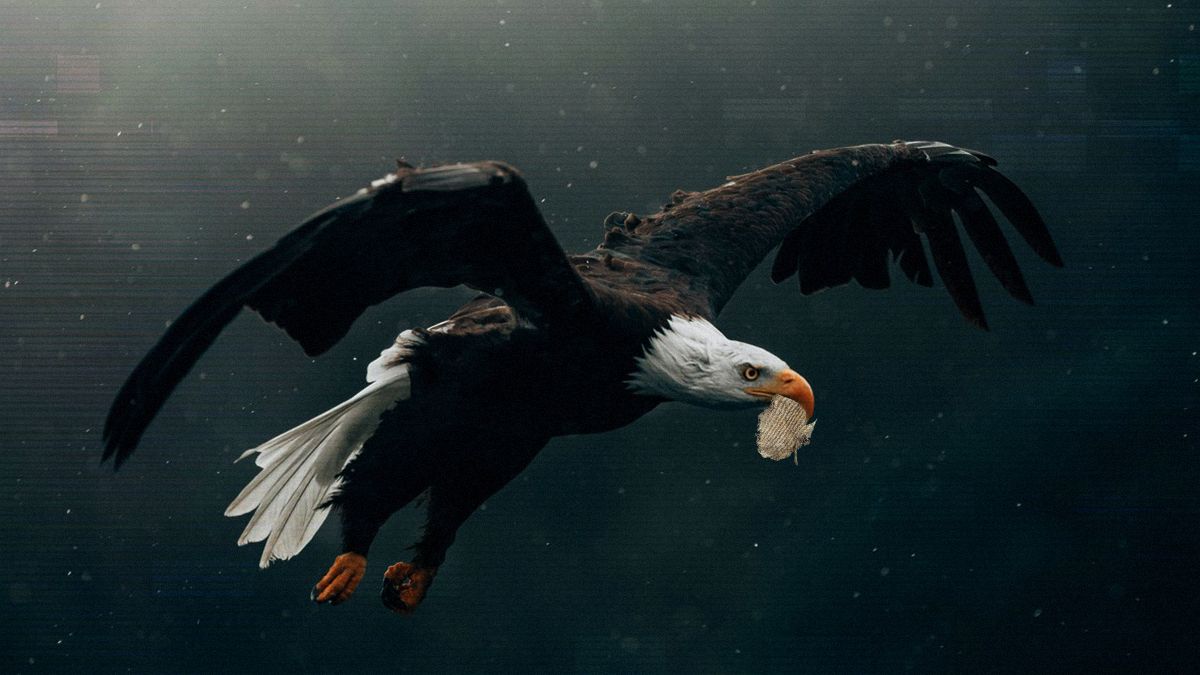 Гнізда птахів як капсули часу – знахідки віком понад 650 років розкривають минуле