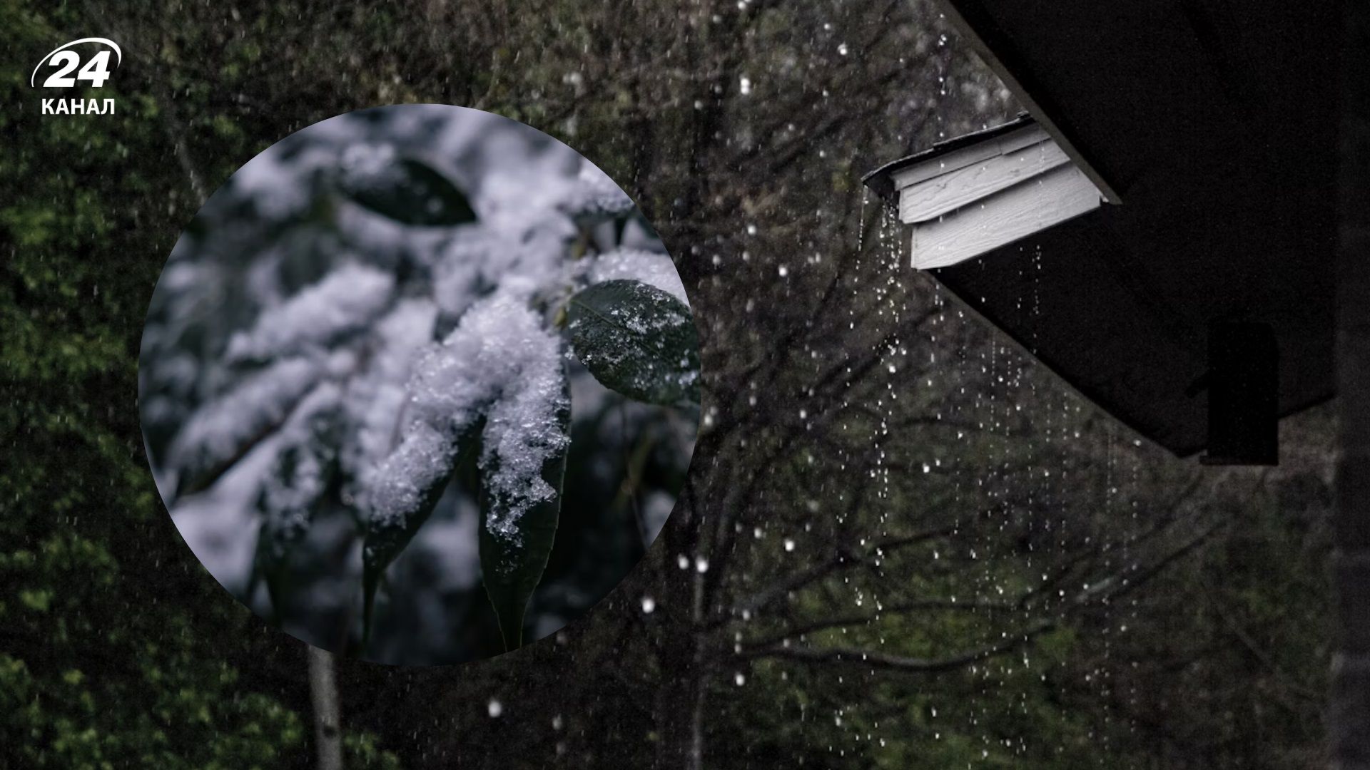 Дожди, сильный ветер и снова мокрый снег: прогноз погоды на 4 октября - 24 Канал Дожди, сильный ветер и снова мокрый снег: прогноз погоды на 4 октября - 24 Канал