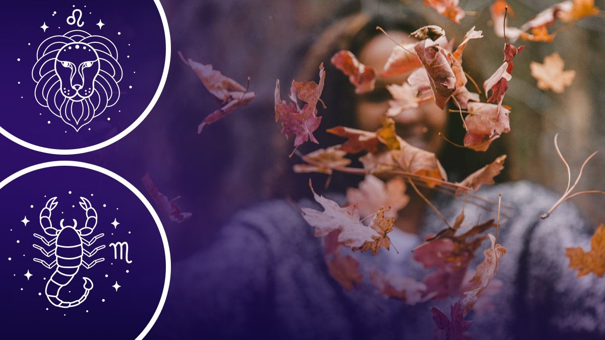 Кого ожидает счастье в октябре Кого ожидает счастье в октябре