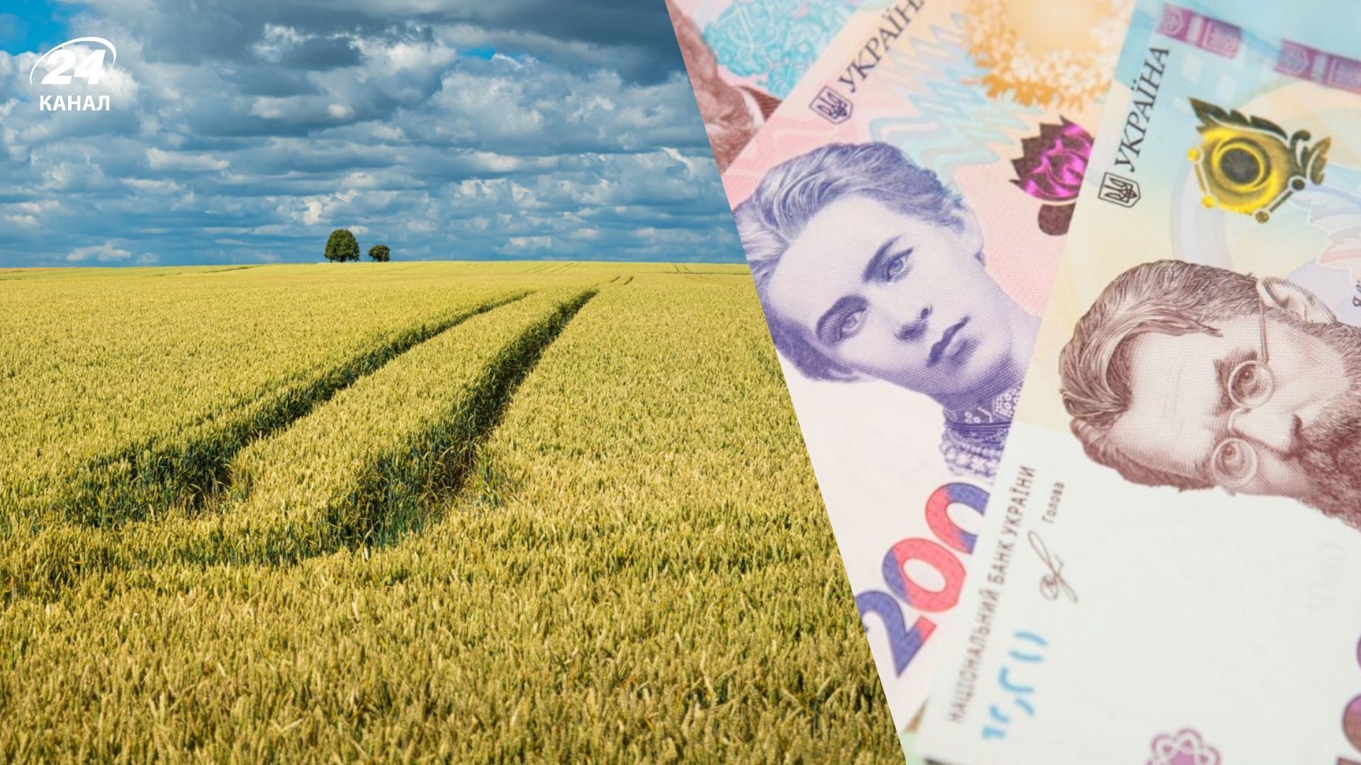 Какой размер налога за землю Какой размер налога за землю