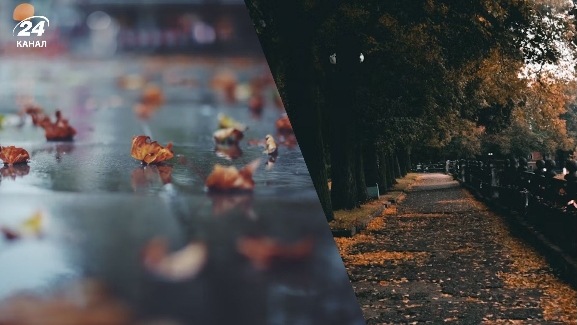 Погода на 7 жовтня - 24 Канал Погода на 7 жовтня - 24 Канал