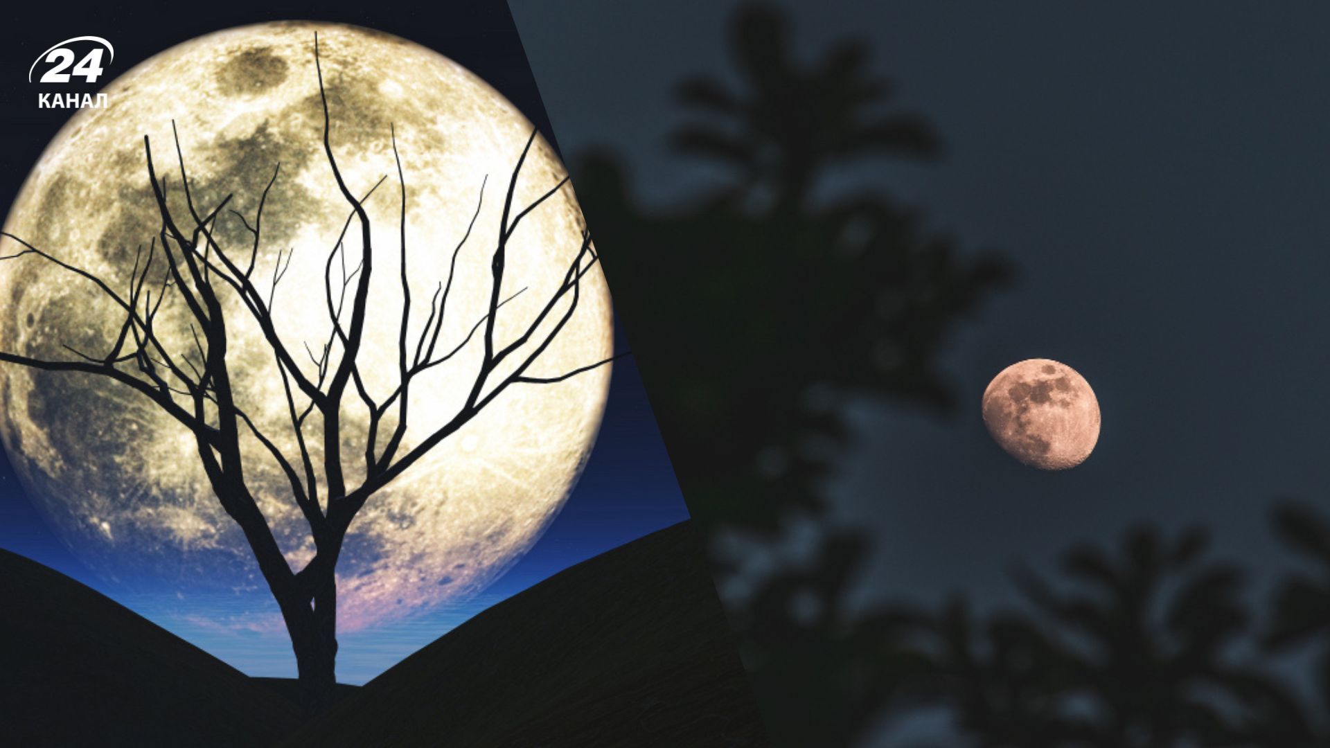 Врожайна повня 2025 Врожайна повня 2025