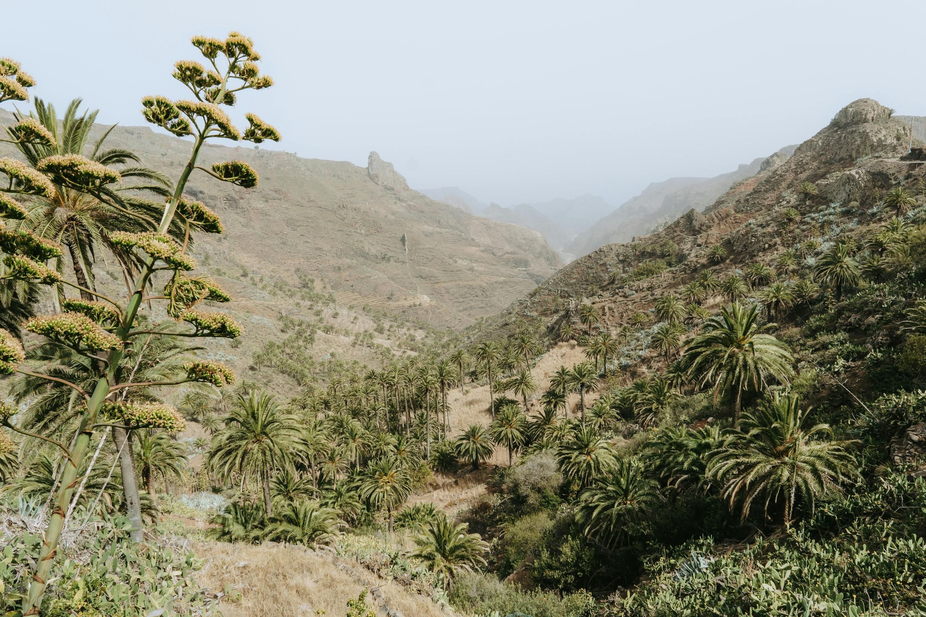 В Испании туристические достопримечательности "на грани коллапса" В Испании туристические достопримечательности "на грани коллапса"