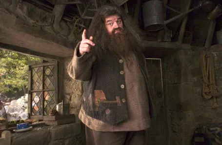 Роббі Колтрейн у ролі Рубеуса Геґріда Роббі Колтрейн у ролі Рубеуса Геґріда