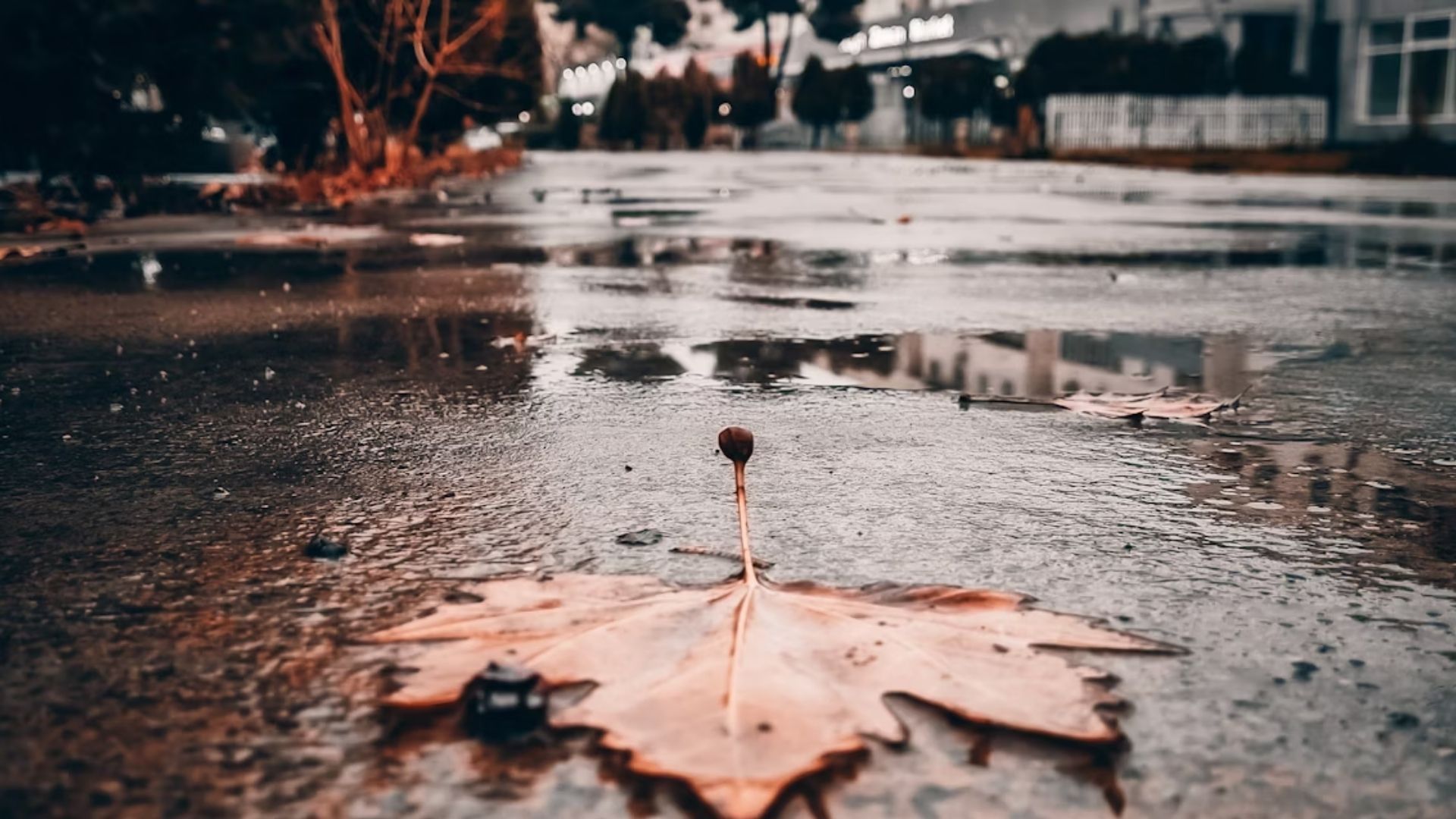 Погода в Украине 8 октября