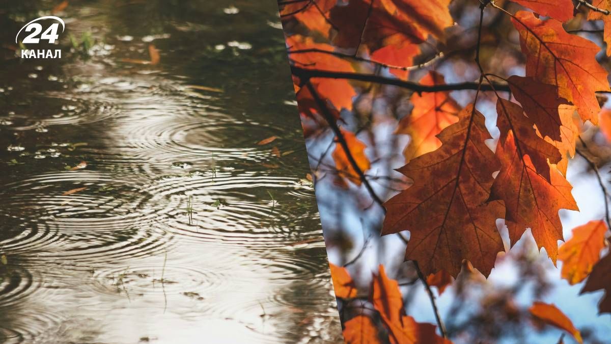 Будет ли меняться погода в ближайшие дни - 24 Канал Будет ли меняться погода в ближайшие дни - 24 Канал
