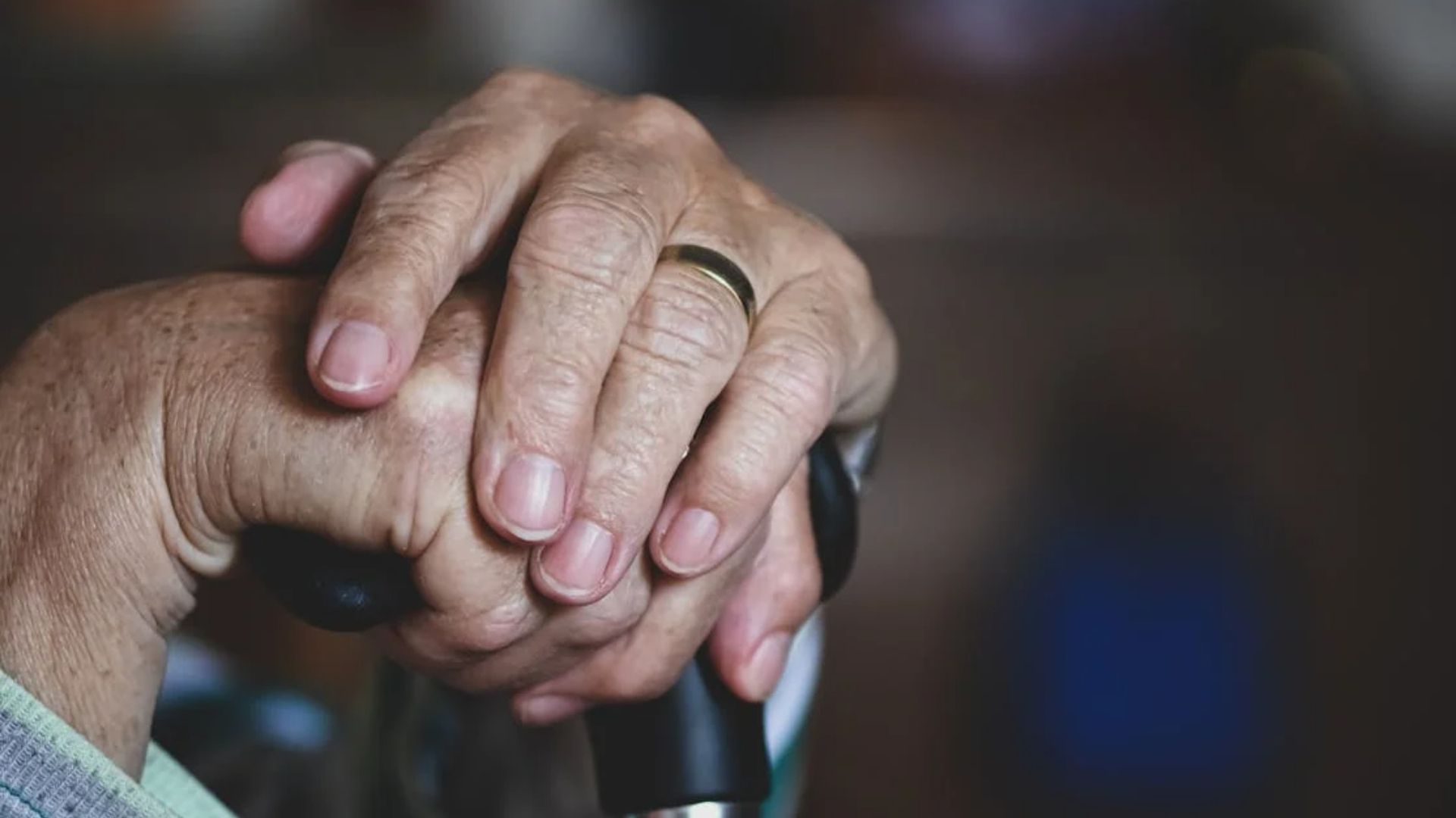 В Запорожье подростки угрожали стрелять из оружия в пенсионерок В Запорожье подростки угрожали стрелять из оружия в пенсионерок