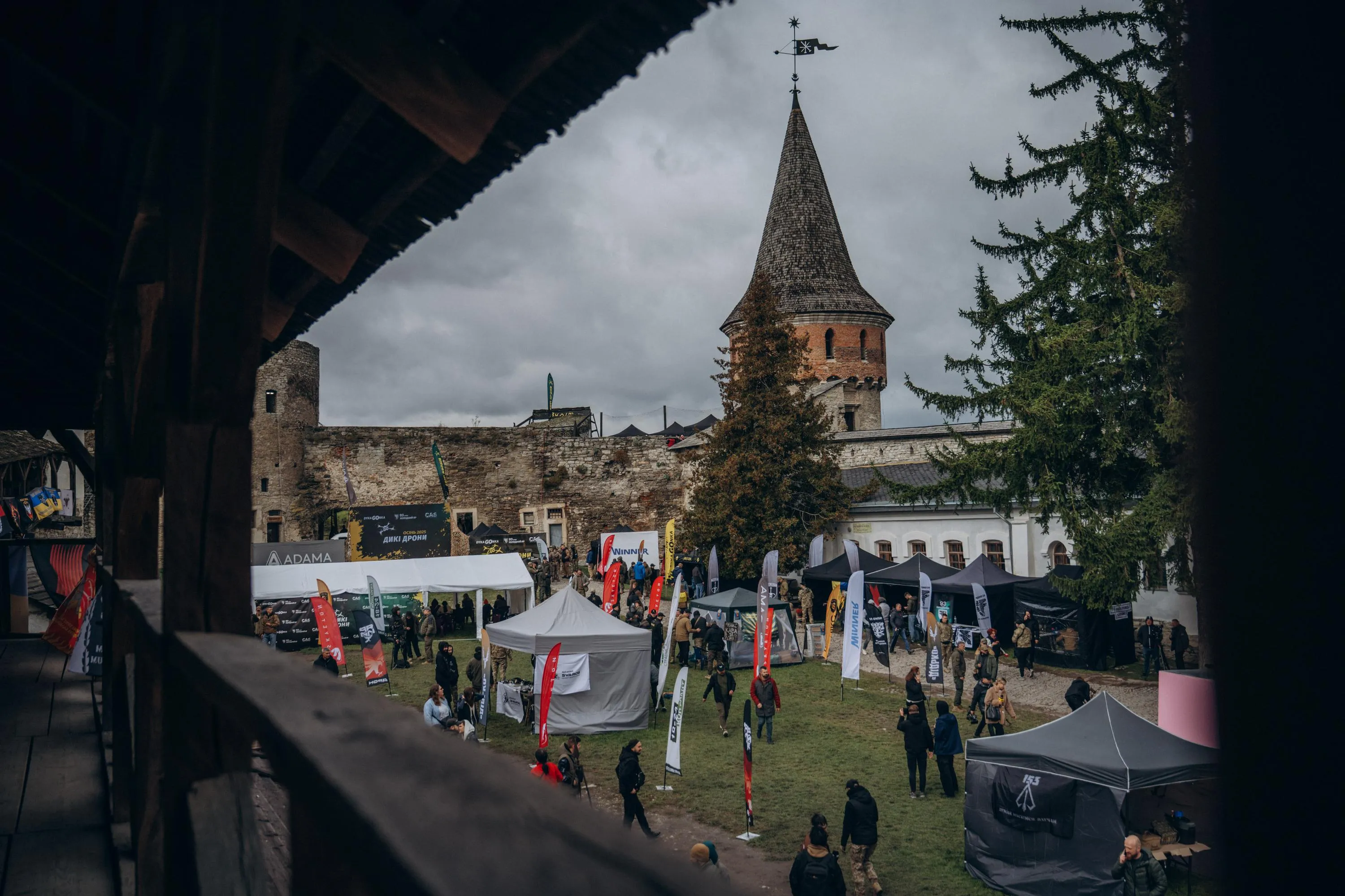 Дикие дроны