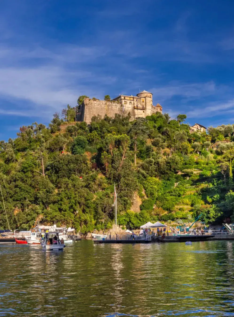 Кастелло Браун 