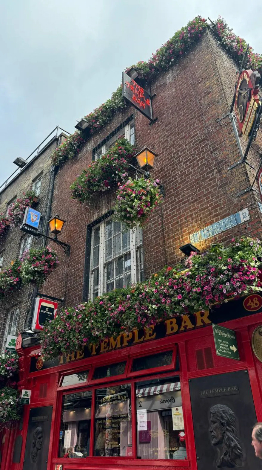 Туристы штурмуют Дублин из-за сериала Дом Гиннесов Туристы штурмуют Дублин из-за сериала Дом Гиннесов