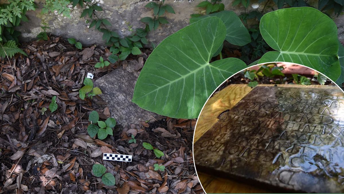 Древнеримское надгробие солдата нашли в саду частного дома в США