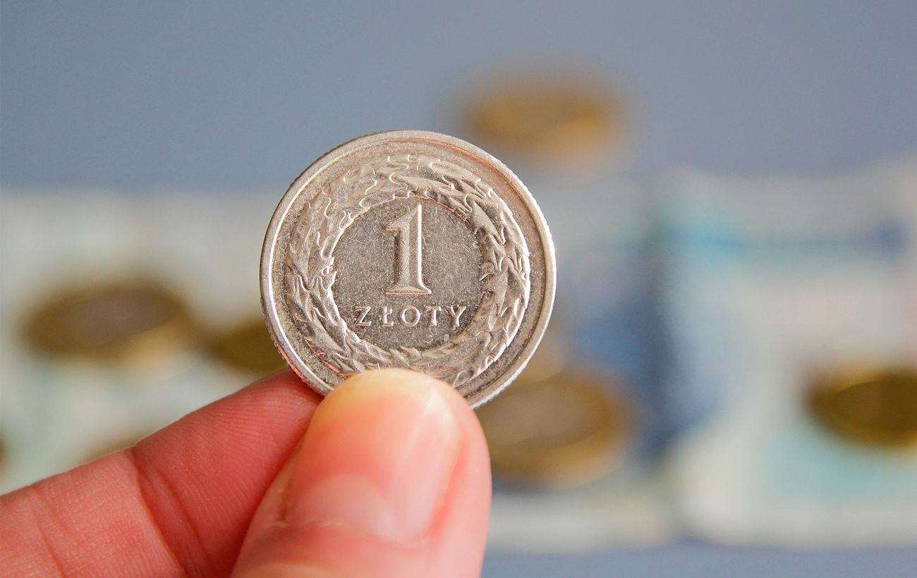 Злотый держит планку: какая цена валюты в обменниках и банках Злотый держит планку: какая цена валюты в обменниках и банках