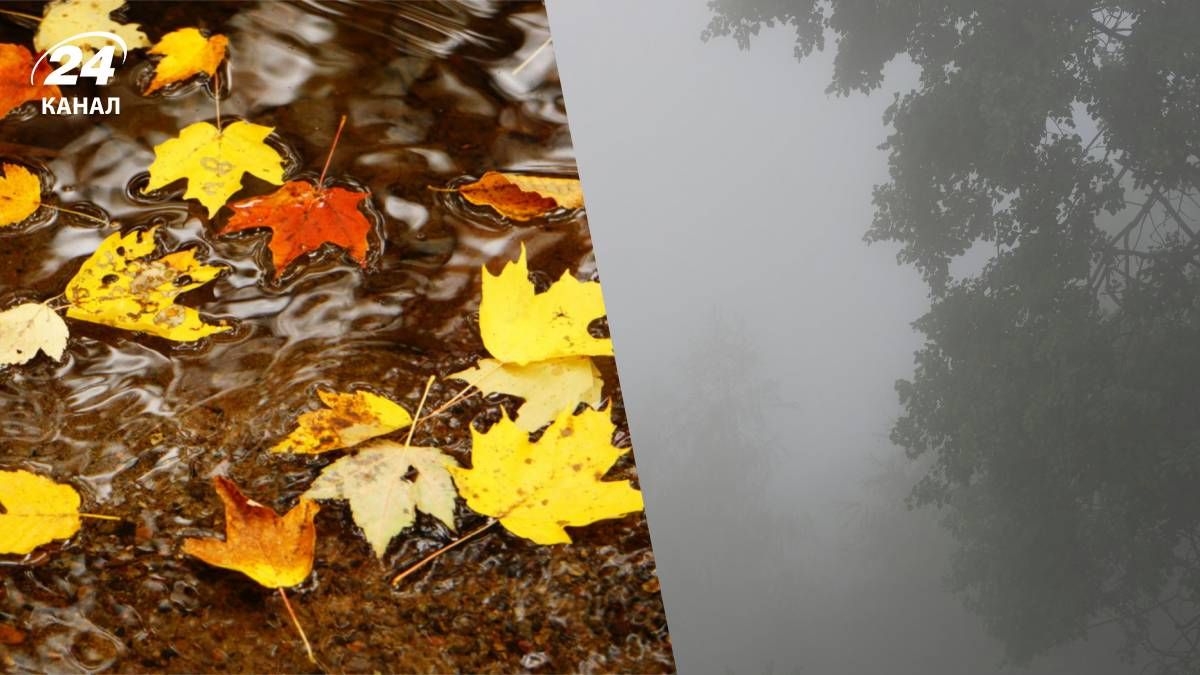 Погода на выходных 11 и 12 октября - 24 Канал Погода на выходных 11 и 12 октября - 24 Канал