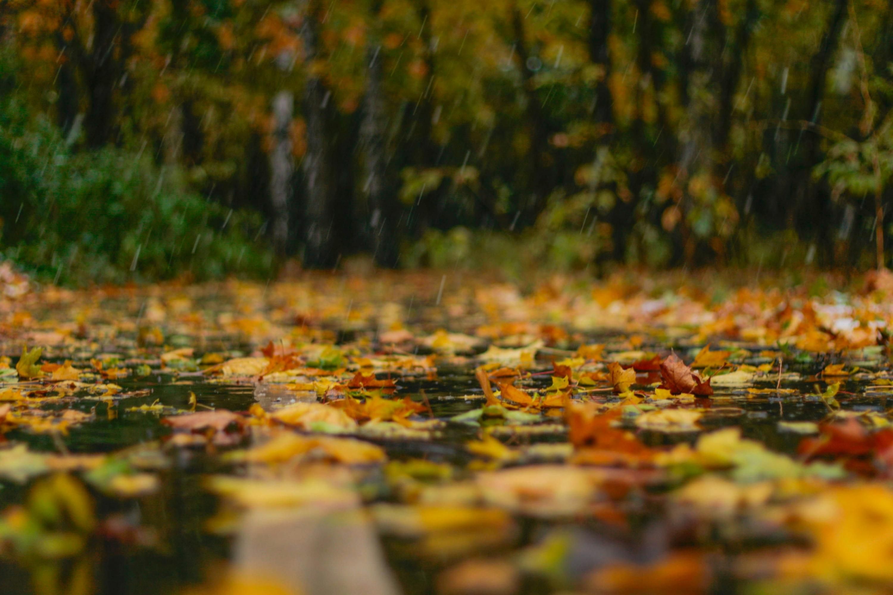 Значительных осадков в Украине не прогнозируют в ближайшие дни - 24 Канал Значительных осадков в Украине не прогнозируют в ближайшие дни - 24 Канал