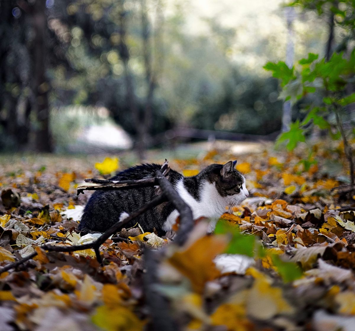 Погода 12 октября - 24 Канал Погода 12 октября - 24 Канал