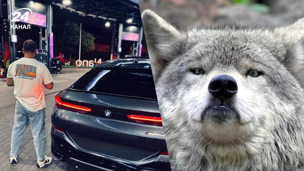 Кто такой одесский волк? Кто такой одесский волк?