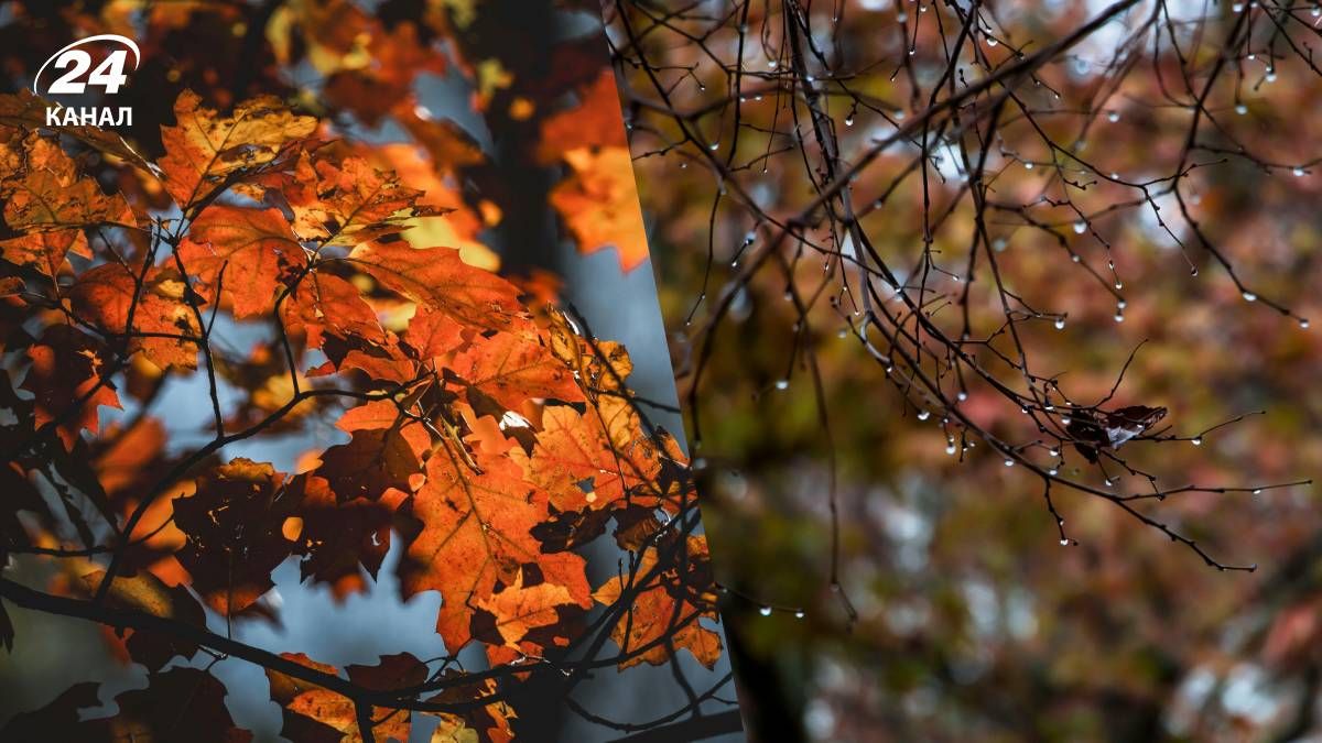 Прогноз погоди в Україні на тиждень - 24 Канал Прогноз погоди в Україні на тиждень - 24 Канал