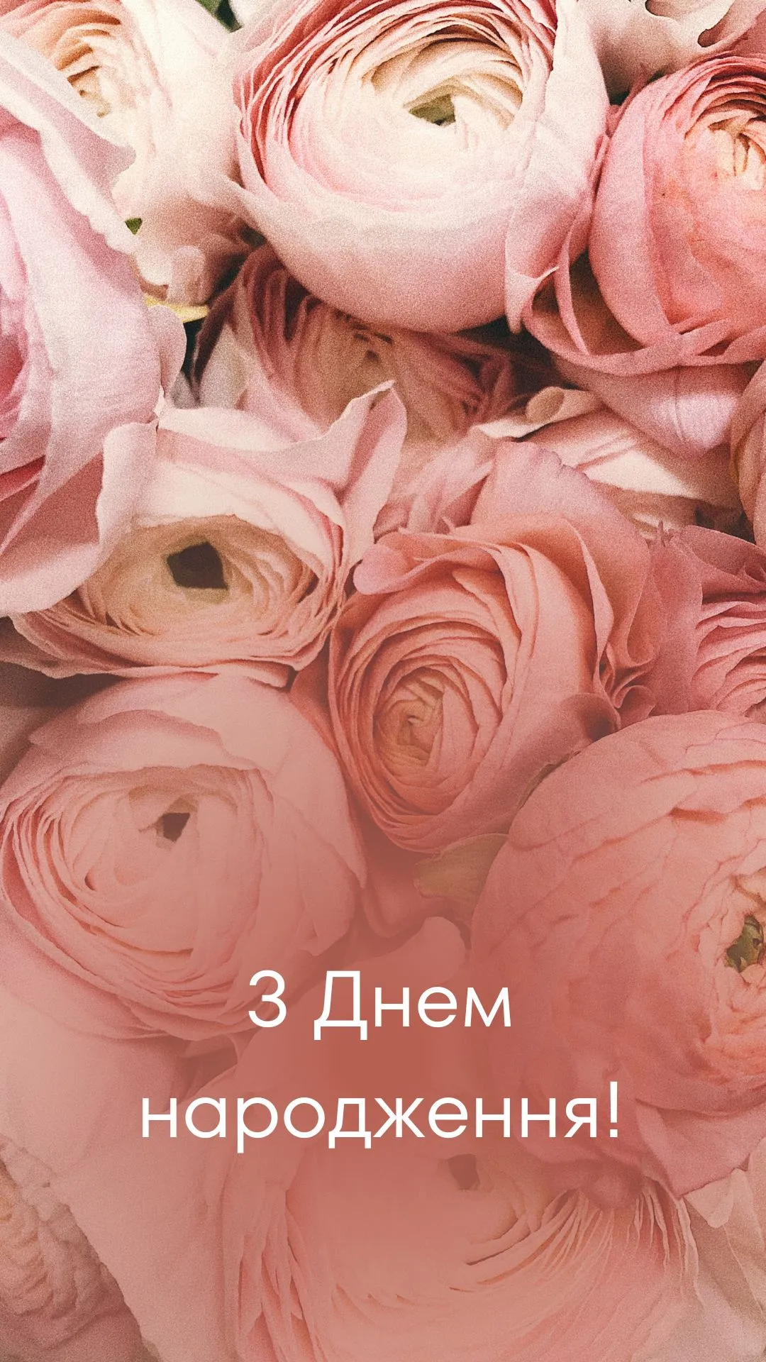 Листівка з квітами для привітань з днем народження Листівка з квітами для привітань з днем народження